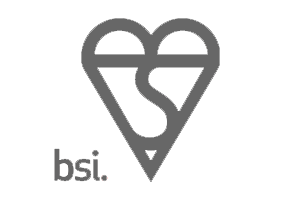 BSi Logo